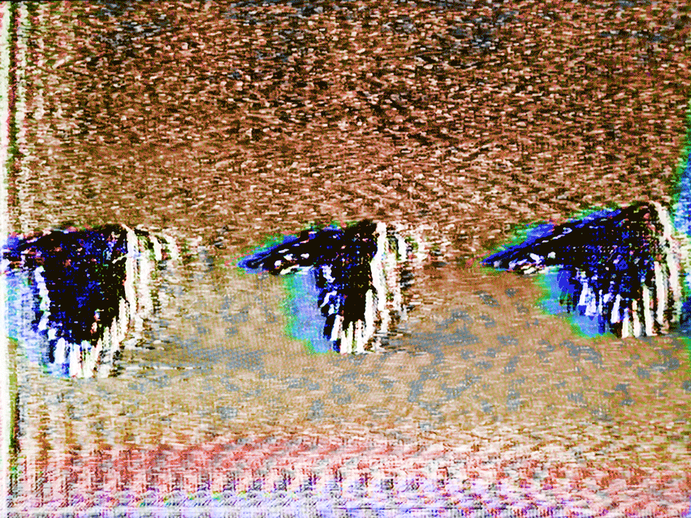 eagleZoetrope3D_glitched